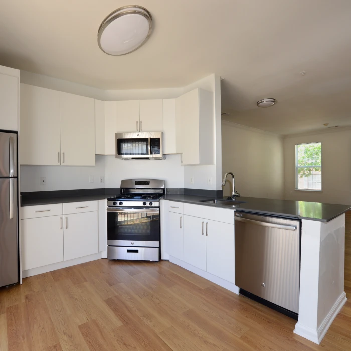 Modern open kitchen featuring stainless steel appliances, white cabinetry, and dark countertops with wood flooring