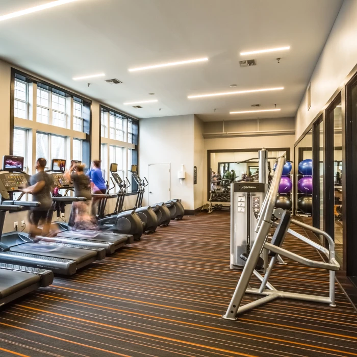 Modern apartment fitness center with cardio treadmills, strength equipment, and large windows providing natural light