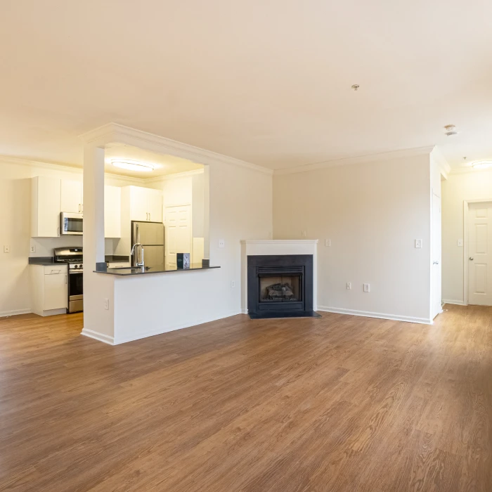 Bright open apartment interior featuring contemporary fireplace, kitchen area, and spacious wood-style flooring