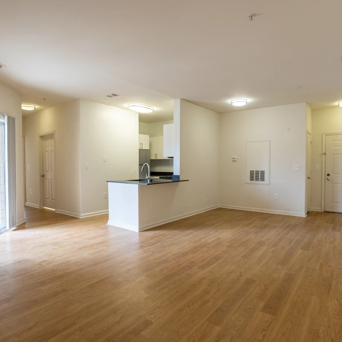 Unfurnished apartment living room with wood-style flooring, kitchen area, and plenty of natural light throughout
